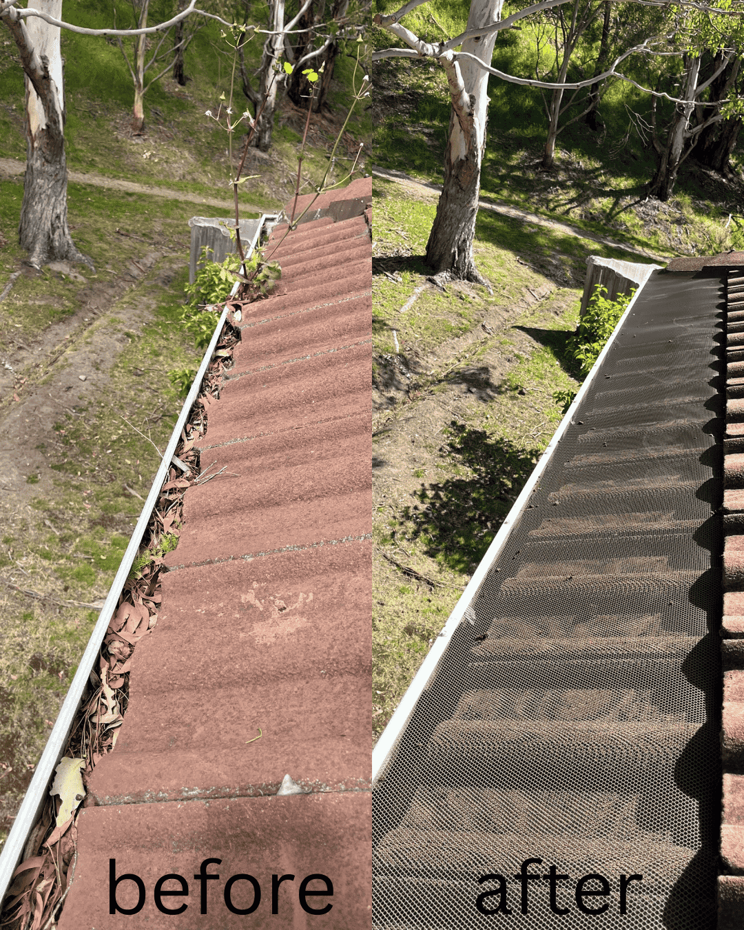 Before & After 2