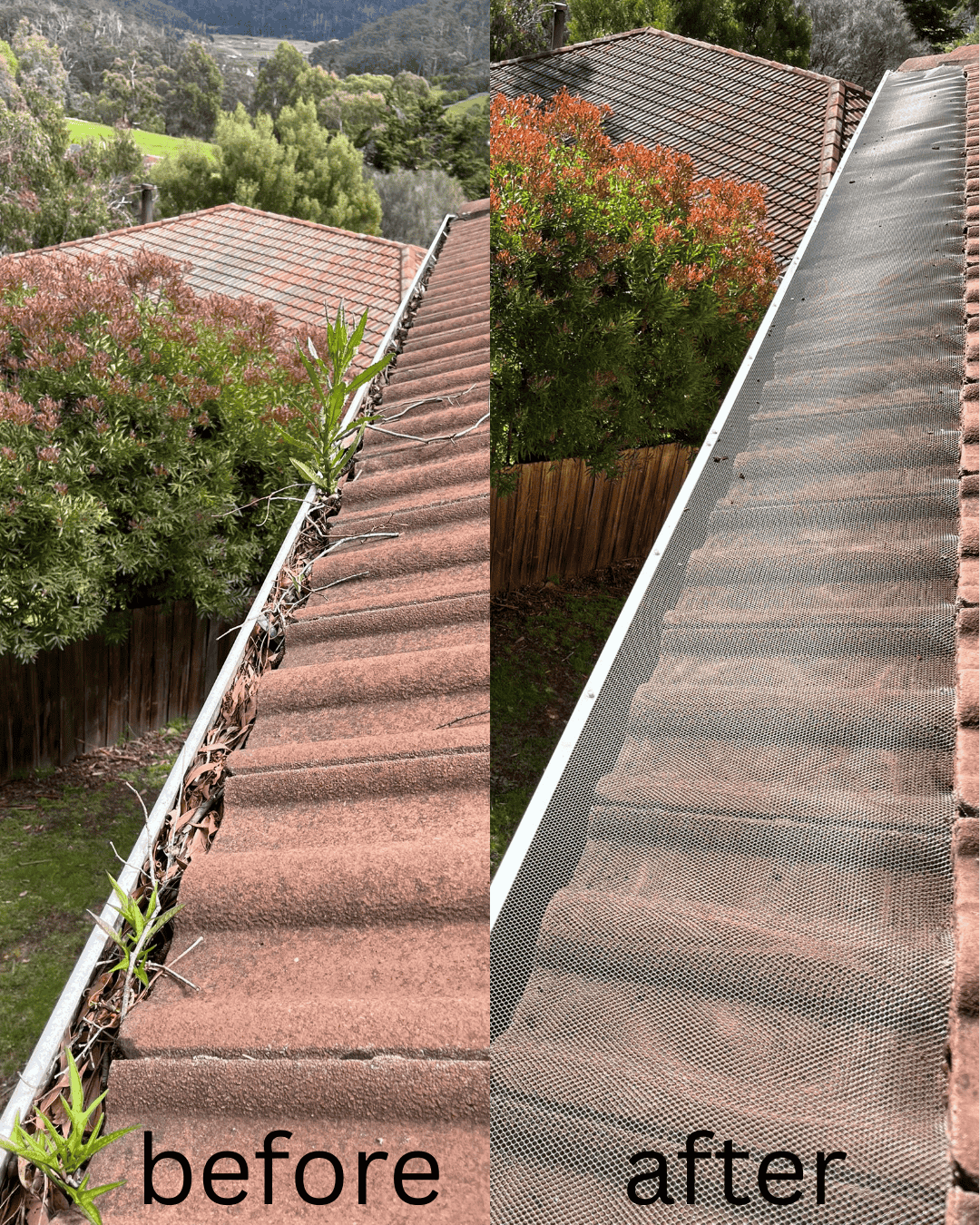 Before & After 4